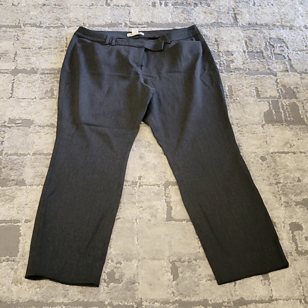 Womens dress pants 10 short